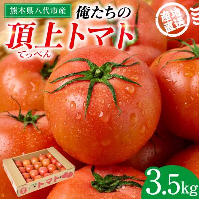 ふるさと納税 八代市 産地直送 俺たちの頂上トマト 3.5kg