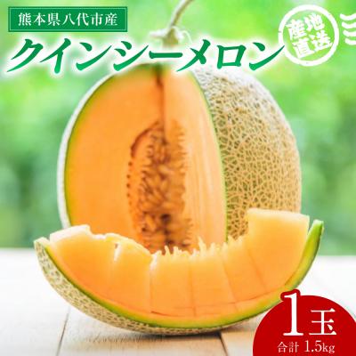 ふるさと納税 八代市 [先行予約]クインシーメロン 1玉 約1.5kg[2026年5月下旬より順次発送]