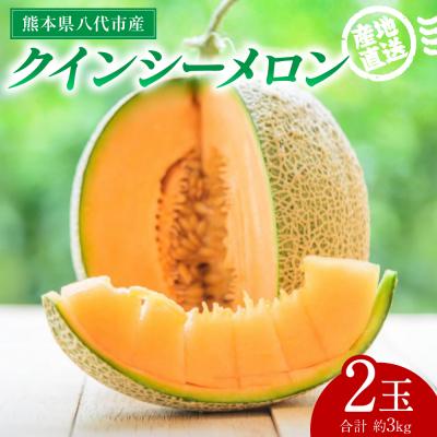 ふるさと納税 八代市 クインシーメロン 2玉 約3kg_271-6795-A