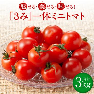 ふるさと納税 八代市 魅せる・美せる・味せる!「3み」一体ミニトマト! 八代市産 トマト