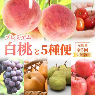 ふるさと納税 大江町 《先行受付》プレミアム白桃と5種便【定期便全5回】 060-T12 | 