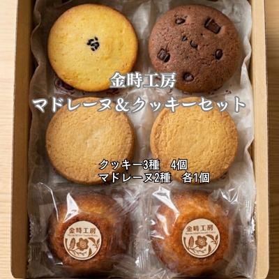 ふるさと納税 鳴門市 金時工房 マドレーヌ&amp;クッキーセット