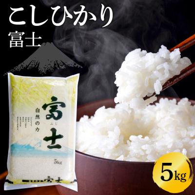 ふるさと納税 呉市 こしひかり 富士 5kg ku214-002-r