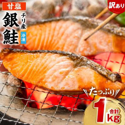ふるさと納税 八代市 [訳あり] 銀鮭 切り身 合計 1kg_045-6128-A