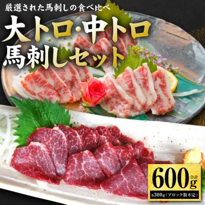 ふるさと納税 八代市 大トロ・中トロ馬刺しのセット 600g (各300g) 馬さし お肉 馬肉 刺身