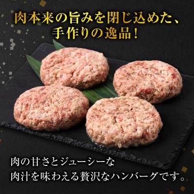 ふるさと納税 八代市 肥後のあか牛 ハンバーグ 150g×10個 おかず 惣菜 洋食 お肉 肉_289-6739-A |  | 02