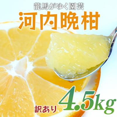 ふるさと納税 大月町 [訳あり] 河内晩柑 4.5kg (M〜5L) ばんかん 晩柑 夏文旦 家庭用 みかん 柑橘