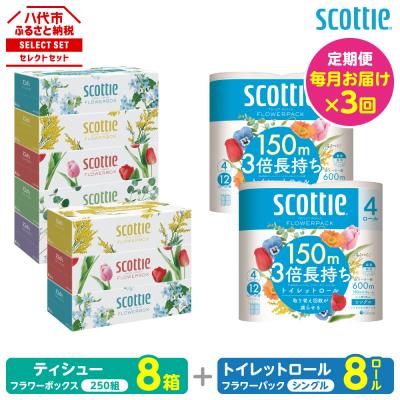 ふるさと納税 八代市 [毎月定期便]ティシュー8箱+トイレットペーパー8ロールシングル スコッティ全3回