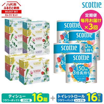 ふるさと納税 八代市 定期便3回・毎月お届け ティシュー16箱 トイレットロールシングル16ロール