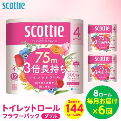 ふるさと納税 八代市 定期便6回・毎月お届けスコッティトイレットロールダブル8ロール合計48ロール