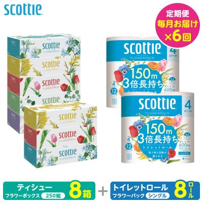 ふるさと納税 八代市 定期便6回・毎月お届け スコッティティシュー8箱トイレットロール シングル8ロール