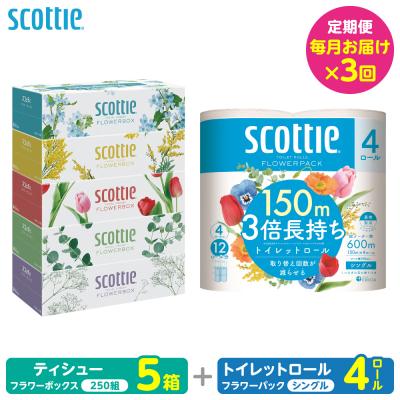 ふるさと納税 八代市 定期便3回・毎月お届けスコッティ ティシュー 5箱トイレットロールシングル4ロール