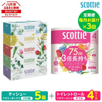 ふるさと納税 八代市 定期便3回・毎月お届けスコッティ ティシュー5箱トイレットロールダブル4ロール