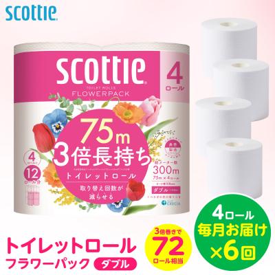 ふるさと納税 八代市 定期便6回・毎月お届け スコッティ トイレットロール ダブル 4ロール