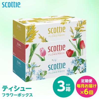 ふるさと納税 八代市 定期便6回・毎月お届け スコッティ ティシュー 3箱 計18箱