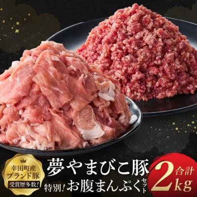 ふるさと納税 幸田町 「夢やまびこ豚」特別!お腹まんぷくセット 小間切れ 1.0kg+挽肉 1.0kg | 豚肉 肉 お肉
