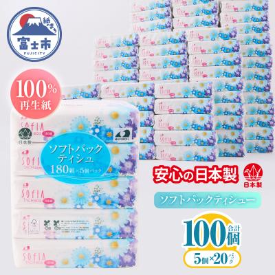 ふるさと納税 富士市 100パック!! ソフトパックティッシュ ソフィアタッチエコ ティッシュペーパー 日用品 大容量