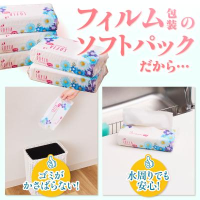ふるさと納税 富士市 100パック!! ソフトパックティッシュ ソフィアタッチエコ ティッシュペーパー 日用品 大容量 |  | 01