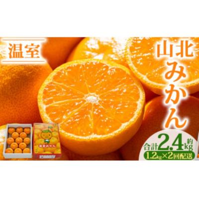 ふるさと納税 香南市 [2回定期便]山北温室みかん1.2kg Wku-0059