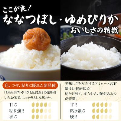 ふるさと納税 岩見沢市 《令和 8 年産》北海道米 食べ比べセット 10kg [a164-025]| ゆめぴりか ななつぼし |  | 02