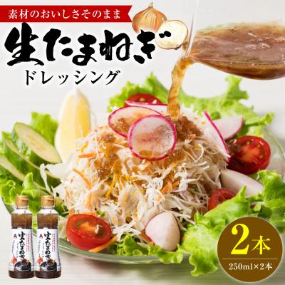 ふるさと納税 八代市 生たまねぎドレッシング(250ml×2本) ドレッシング 黒酢