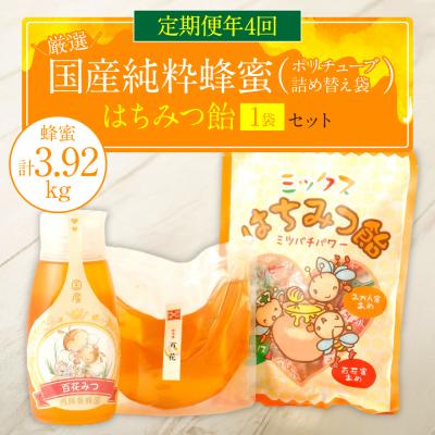 ふるさと納税 八代市 [定期便 年4回][厳選]ポリチューブ蜂蜜&amp;詰め替え袋+蜂蜜あめ袋