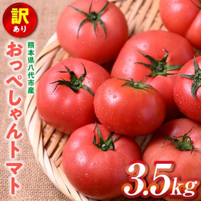 ふるさと納税 八代市 [訳あり] おっぺしゃんトマト 3.5kg_271-6579-A
