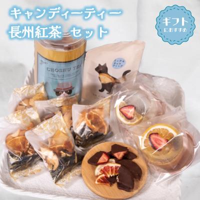 ふるさと納税 下関市 キャンディーティー 長州 紅茶 セット ドライフルーツ ギフト プレゼント