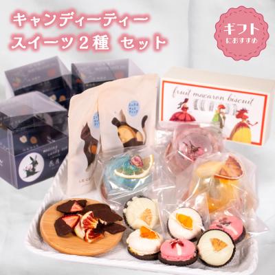 ふるさと納税 下関市 キャンディーティー スイーツ 2種 セット ドライフルーツ マカロン ビスケット チョコ