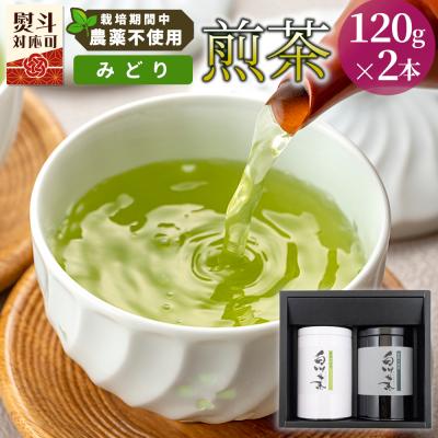 ふるさと納税 東白川村 栽培期間中 農薬不使用! 煎茶 ギフト NO.16
