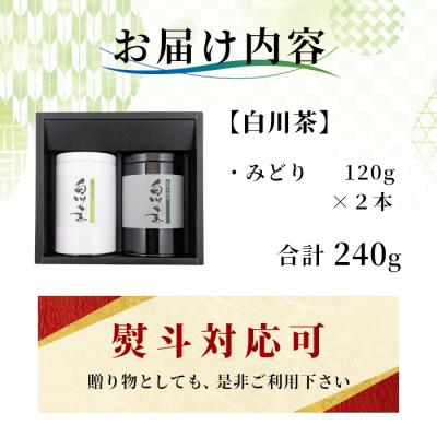 ふるさと納税 東白川村 栽培期間中 農薬不使用! 煎茶 ギフト NO.16