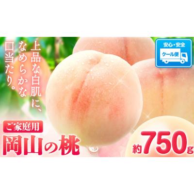 ふるさと納税 笠岡市 桃 岡山の桃 約750g[6月下旬-9月上旬頃出荷]岡山県 笠岡市 ご家庭用 白桃