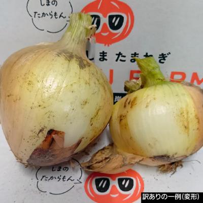 ふるさと納税 南あわじ市 【完熟玉ねぎ予約】訳あり品　淡路島産完熟玉ねぎ 20kg　◆配送6月〜翌年1月 |  | 03