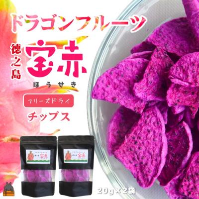 ふるさと納税 徳之島町 ドラゴンフルーツ 徳之島 宝赤(ほうせき)フリーズドライ(チップス×2袋)