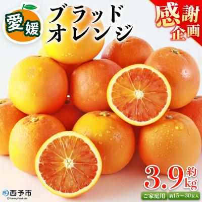 ふるさと納税 西予市 <愛媛県西予市産 ブラッドオレンジ 家庭用 豊作 サンキューパック 合計約3.9kg> 宇都宮物産