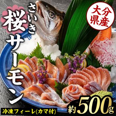 ふるさと納税 佐伯市 さいき 桜 サーモン フィーレ (1尾分・約500g)