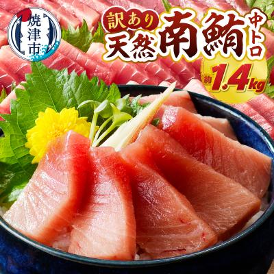 ふるさと納税 焼津市 訳あり ミナミマグロ 刺身 中トロ 天然 切り落とし 約1.4kg(a19-060)