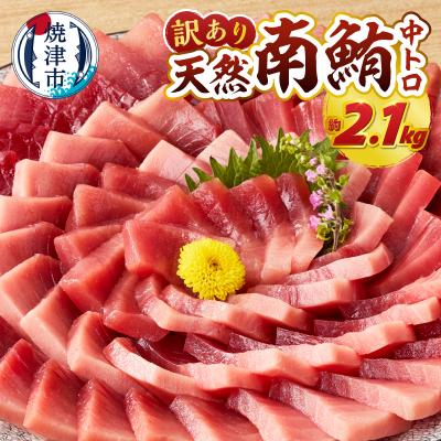 ふるさと納税 焼津市 訳あり ミナミマグロ 鮪 刺身 中トロ 天然 切り落とし 約2.1kg(a28-035)