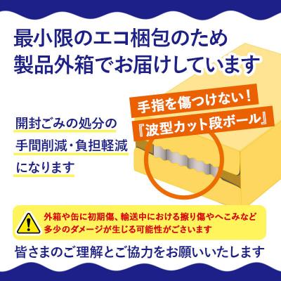 ふるさと納税 板倉町 【定期便11ヶ月】サントリー 生 1ケース(350ml×24本入り)|13_snt-132411_2