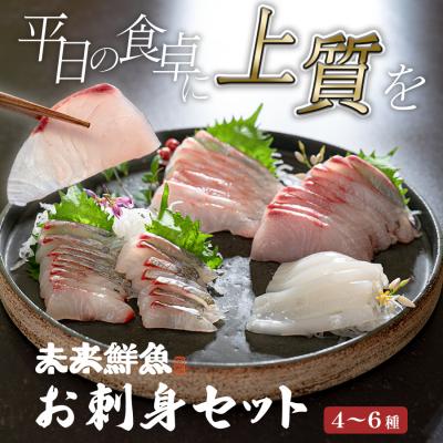 ふるさと納税 大月町 旬のお刺身用 柵セット 4〜6種 高知 海鮮 盛り合わせ 食べ比べ 鮮度抜群 刺し身 グルメ 酒の肴