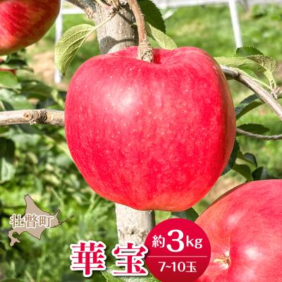 ふるさと納税 壮瞥町 <2026年10月上旬よりお届け>壮瞥町産りんご「華宝」7〜10玉約3kg