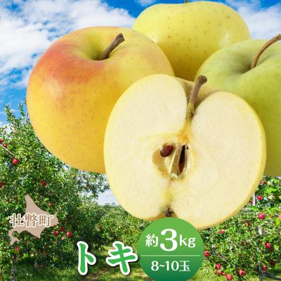 ふるさと納税 壮瞥町 <2026年10月中旬よりお届け>壮瞥町産りんご「トキ」8〜10玉約3kg