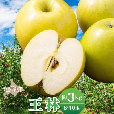 ふるさと納税 壮瞥町 <2026年11月中旬よりお届け>壮瞥町産りんご「王林」8〜10玉約3kg