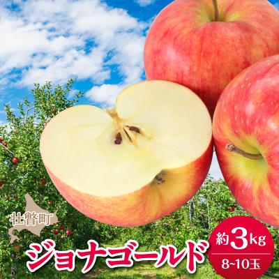 ふるさと納税 壮瞥町 <2026年10月下旬よりお届け>壮瞥町産りんご「ジョナゴールド」8〜10玉約3kg