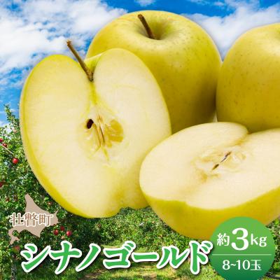 ふるさと納税 壮瞥町 <2026年11月上旬よりお届け>壮瞥町産りんご「シナノゴールド」8〜10玉約3kg