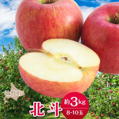 ふるさと納税 壮瞥町 <2026年11月中旬よりお届け>壮瞥町産りんご「北斗」8〜10玉約3kg