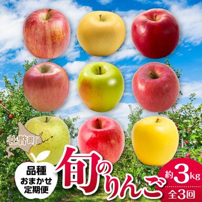 ふるさと納税 壮瞥町 <10・11・12月お届け>壮瞥町産 旬のりんご約3kg おまかせ定期便