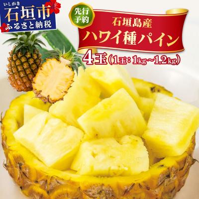 ふるさと納税 石垣市 <先行予約> ハワイ種 パイナップル 4玉 <2026年6月発送> | 沖縄県 石垣市 石垣島産 パ