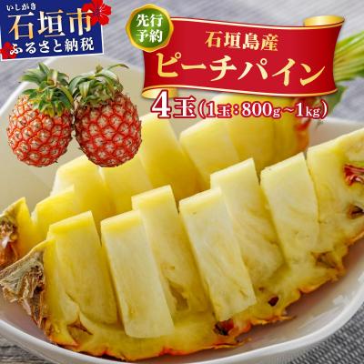 ふるさと納税 石垣市 <先行予約> ピーチパイン 4玉 <2026年4月発送> | 沖縄県 石垣市 石垣島産 パイン パイ
