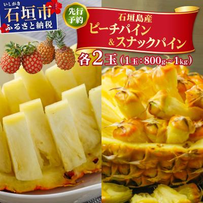 ふるさと納税 石垣市 <先行予約> ピーチパイン スナックパイン 各2玉セット <2026年4月発送> | 沖縄県 石垣市